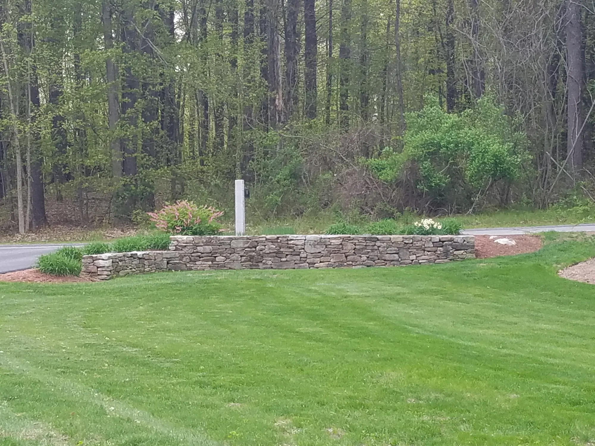 Tree and Shrub Plantings in Hollis, NH