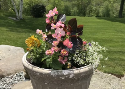 Annuals Pots & Containers