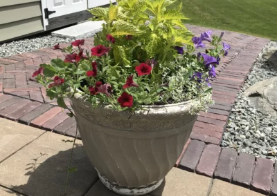 Annuals Pots & Containers
